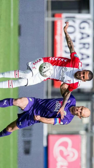 在分析中 在分析中