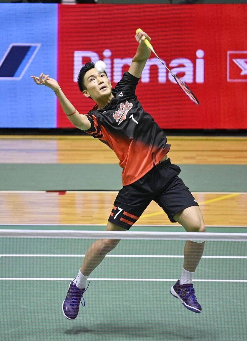 养乐多近年 养乐多近年